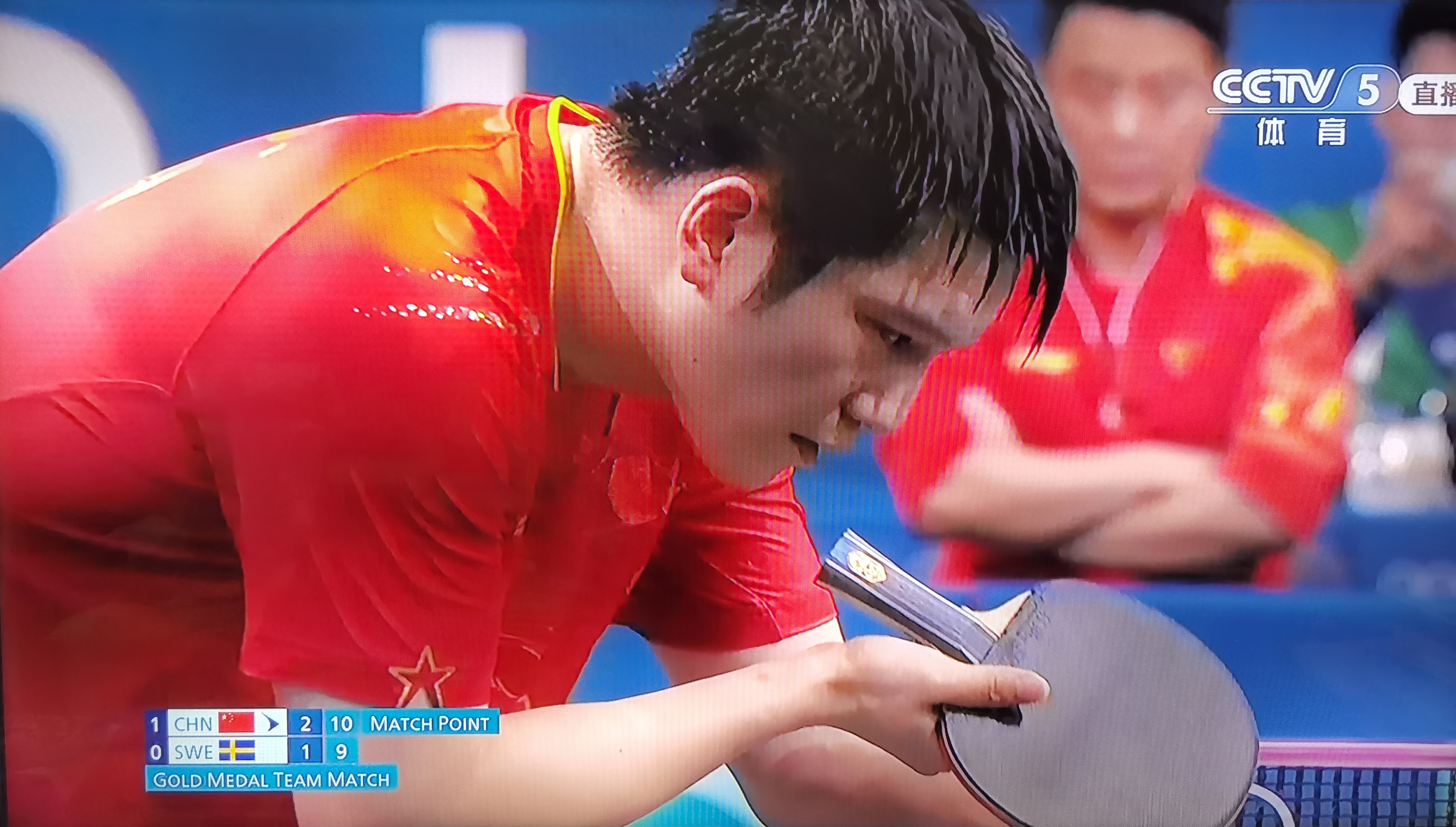 法国乒乓球队翻盘瑞典乒乓球队，樊振东惊艳世界的简单介绍