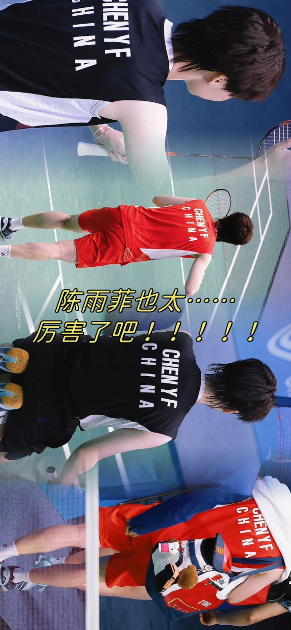 日本队轻取丹麦队，陈雨菲统治全场的简单介绍