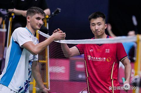 日本队险胜法国队，戴资颖点燃赛场的简单介绍