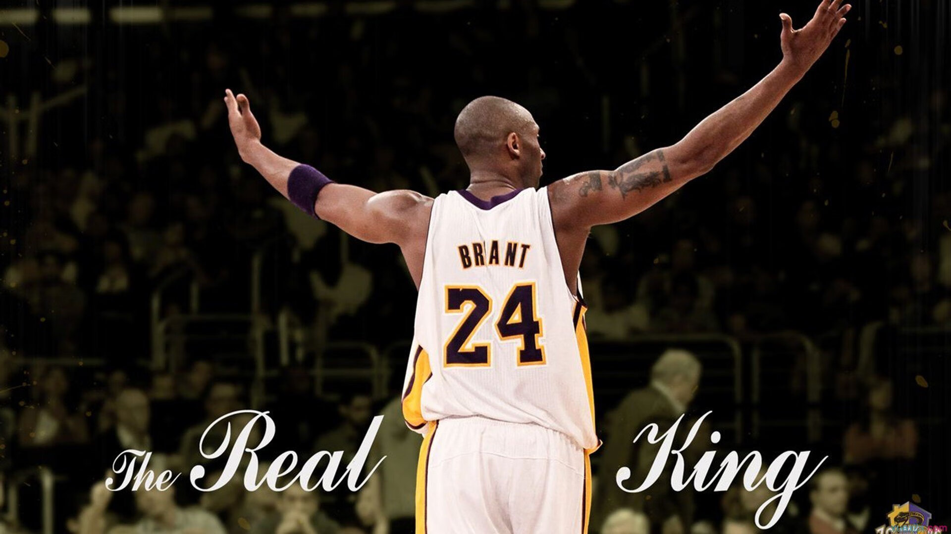 范弗利特爆发撕裂防线,国王防守体系锁死热火进攻