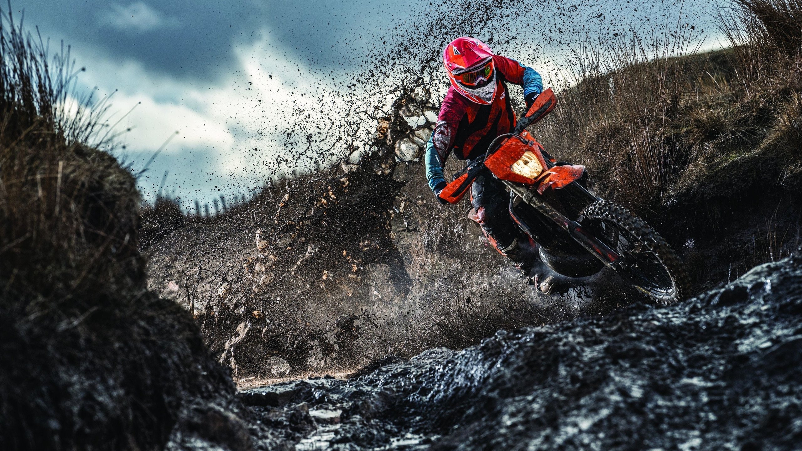 奥斯梅恩赛后评分拉满，阿尔及利亚单节拉开乌克兰—非洲足球崛起与欧洲新贵的碰撞